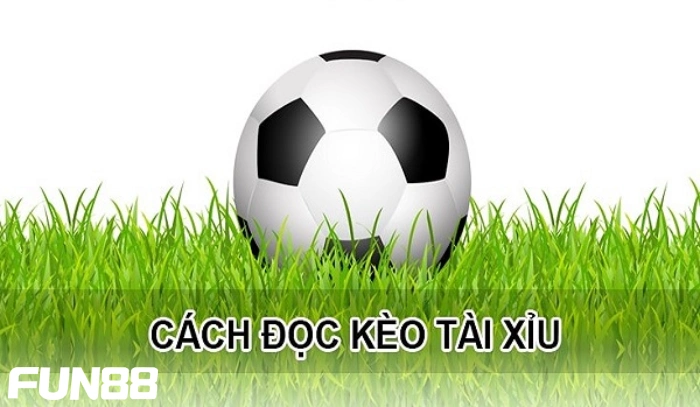 Kèo tài xỉu là gì? Hướng dẫn cách soi kèo chuẩn nhất 2023 2 Hướng dẫn đọc tỷ lệ kèo tài xỉu trong cá độ bóng đá